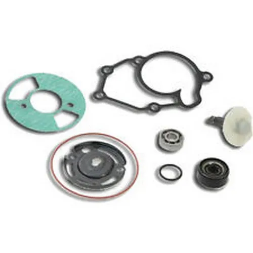 AA00823 ÜBERHOLUNGSSATZ FÜR H2O WASSERPUMPE MBK CITYLINER 125 EU3 2008-2010
