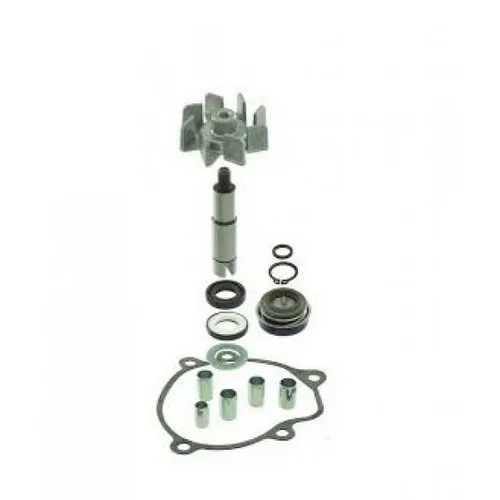 100110500 KYMCO MYROAD 700 WASSERPUMPE ÜBERARBEITUNGSSATZ