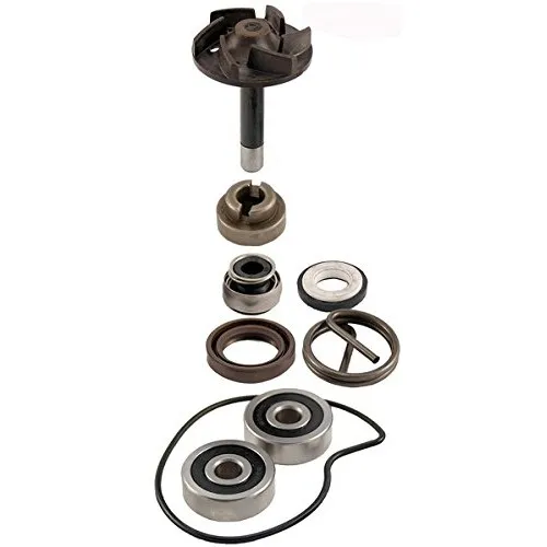 100110220 REPARATURSATZ WASSERPUMPE PIAGGIO BEVERLY 250 2004-05