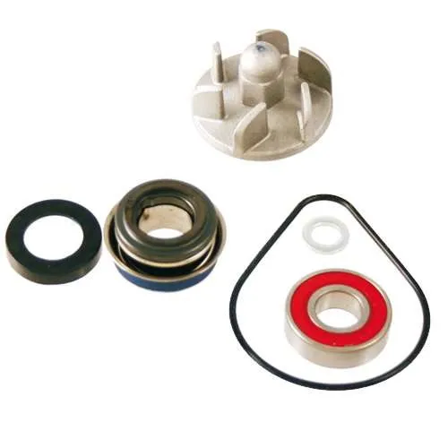 100110180 WASSERPUMPE ÜBERHOLUNGSSATZ HONDA: PANTHEON 125-150 2T