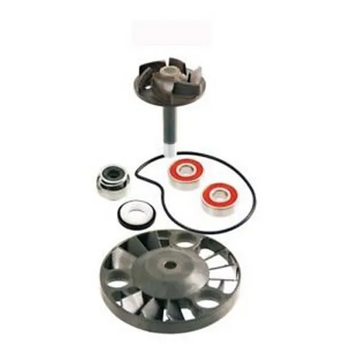 Reparaturkit Wasserpumpe RMS, Piaggio Leader 125/180/200cc 4-Takt LC