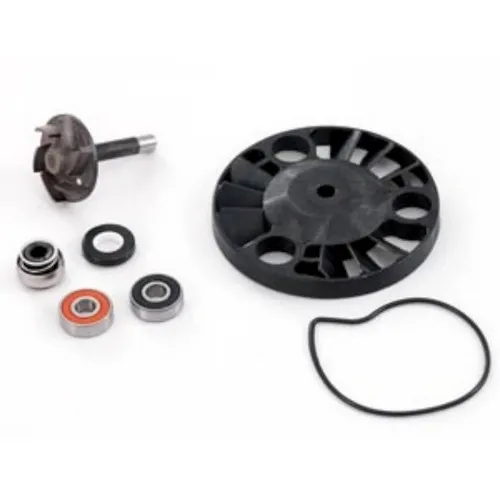 AA00817 H2O WASSERPUMPE ÜBERHOLUNGSSATZ APRILIA ATLANTIC 125 2003-2005