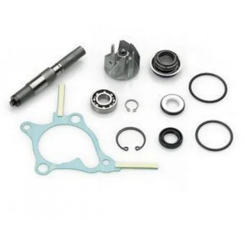 Wasserpumpen Reparaturkit Top Performances Honda Pantheon 250cc