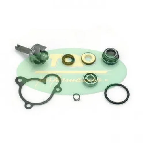Wasserpumpen Reparaturkit Top Performances Yamaha Majesty 250cc