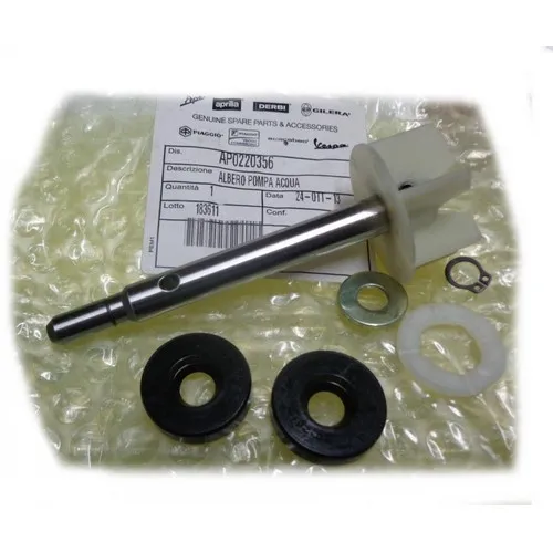 AP0220356 WASSERPUMPE ÜBERARBEITUNGSSATZ APRILIA SCARABEO 125 4T 1999-2003