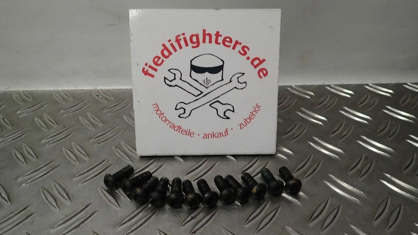 Bremsscheiben Schrauben vorne Ducati Monster 696 EZ.09 28350km