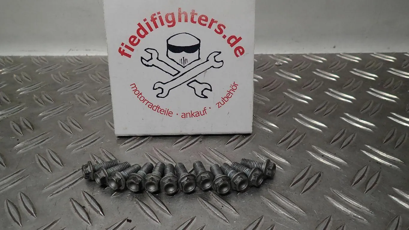 Bremsscheiben Schrauben vorn Bremse Aprilia Dorsoduro 750 SM EZ.10 2492km