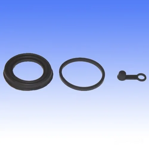 Bremssattel, Bremszangen Reparatursatz, hinten BCF-205-104050160H