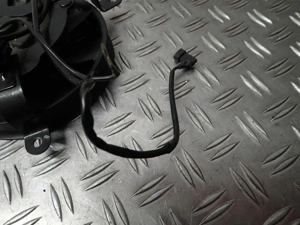 Kühlerventilator Lüfter Ventilator Kühler Honda CBR 900 RR SC44 BJ.00-01