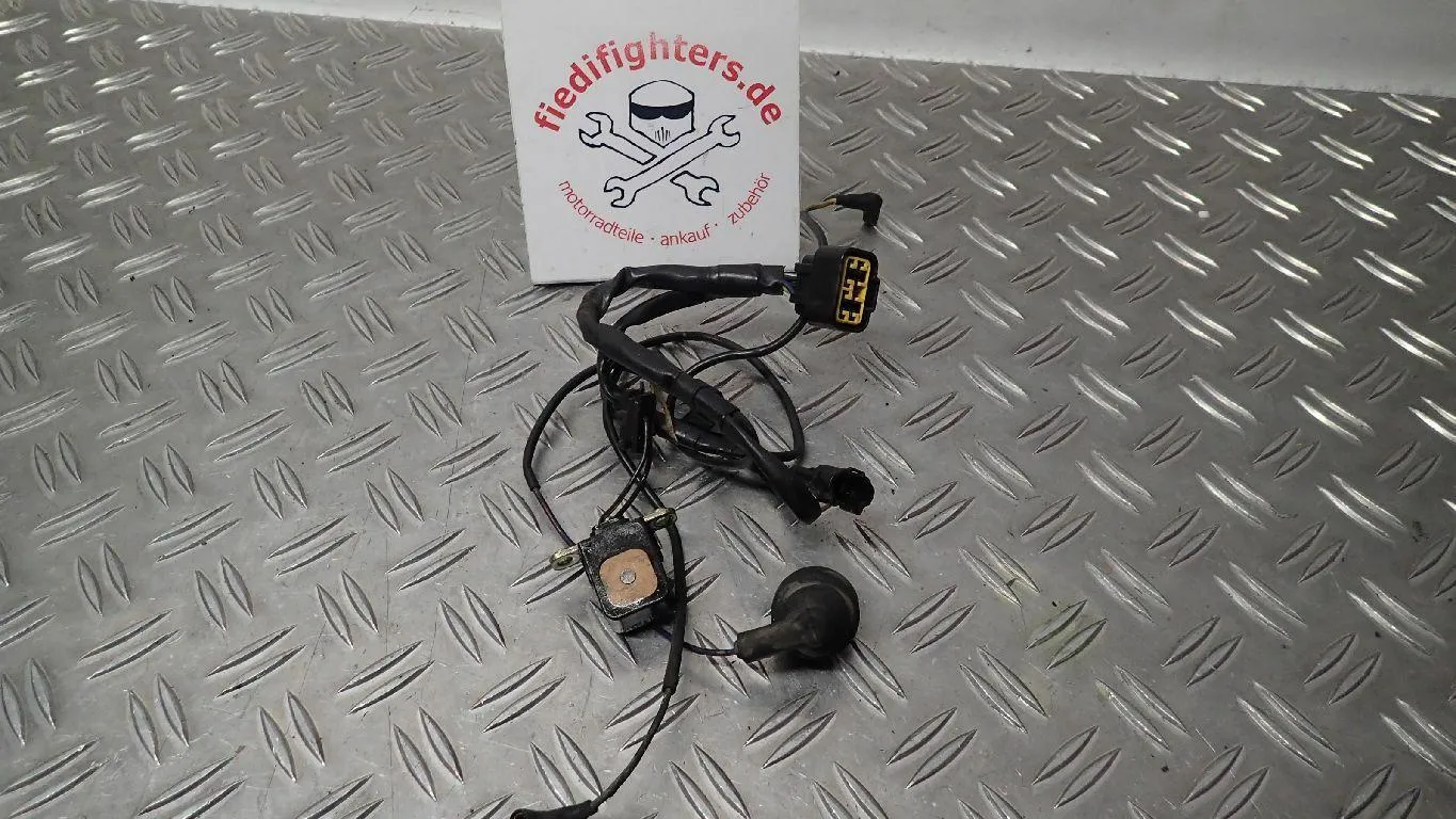 Zündimpuls Geber Pick Up Sensor Geber Kawasaki Ninja ZX6R ZX600J Ez00 48970km