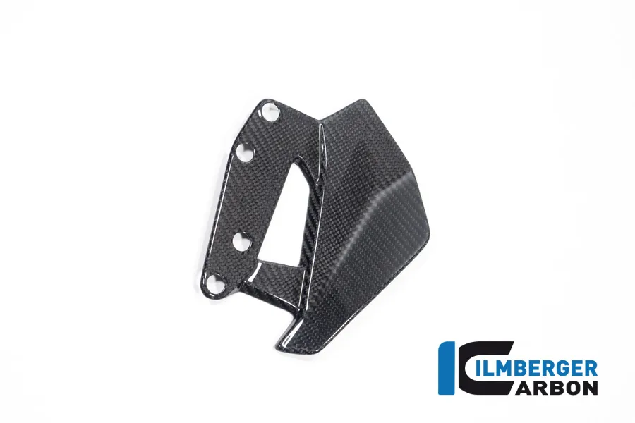 Ilmberger Carbon Windabweiser links, glänzend, BMW R1300GS 2023-
