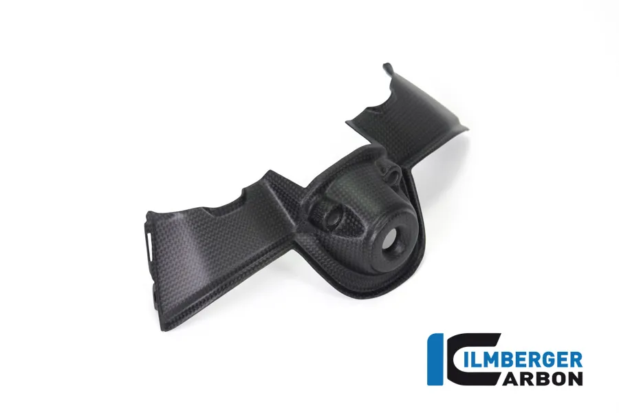 Ilmberger Carbon Zündschlossabdeckung matt Ducati V4 / V4 S / V4 R