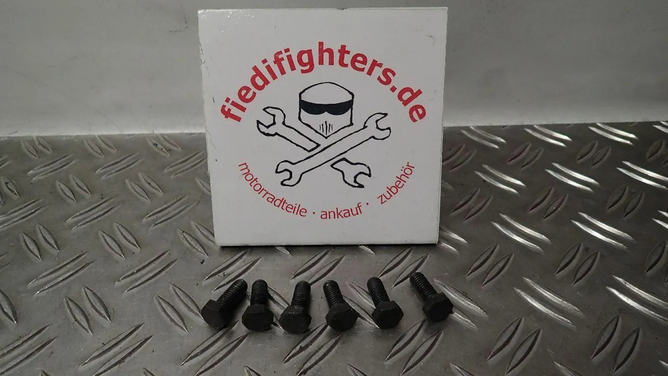 Bremsscheiben Schrauben hinten Ducati Monster 696 EZ.09 28350km