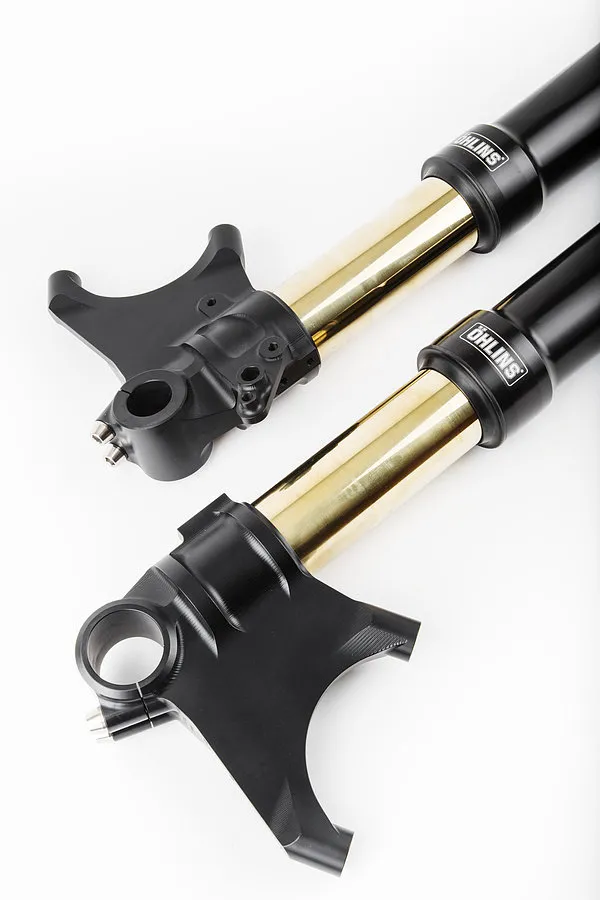 Öhlins Telegabel Road & Track FGRT 301 Diavel 1200 G1