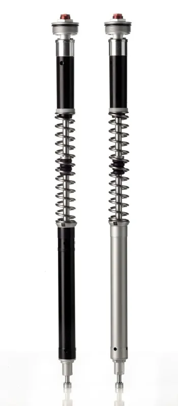 Wilbers Open Cartridge-Set C30R für BMW F 900 R 2020-, Tieferlegung 30mm