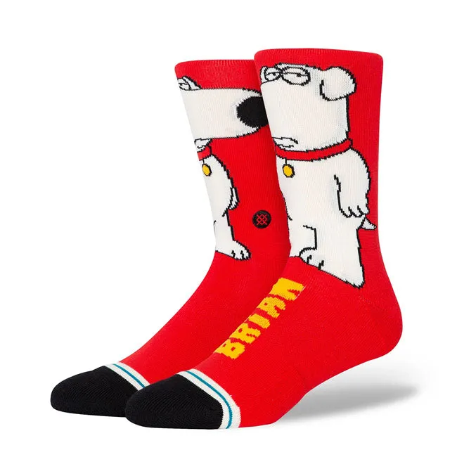 Stance Die Hundesocken